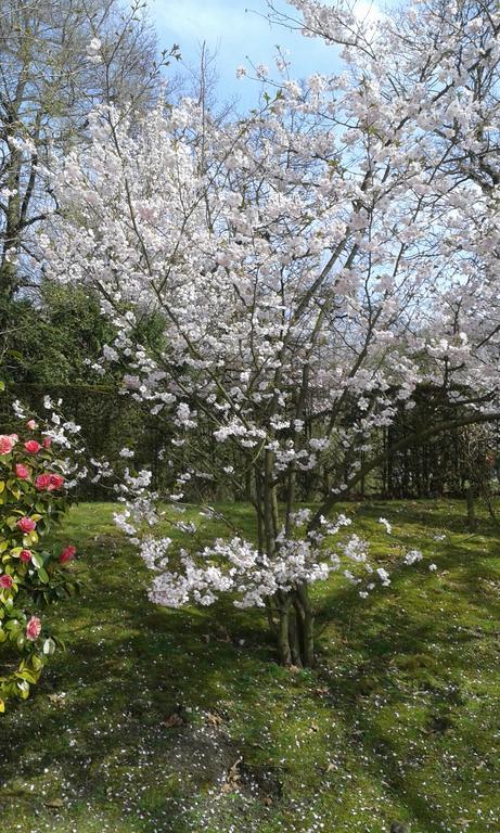 B&B Appelkers II Kortessem Kültér fotó